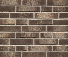 "Feldhaus Klinker" klinkerinės plytelės R749